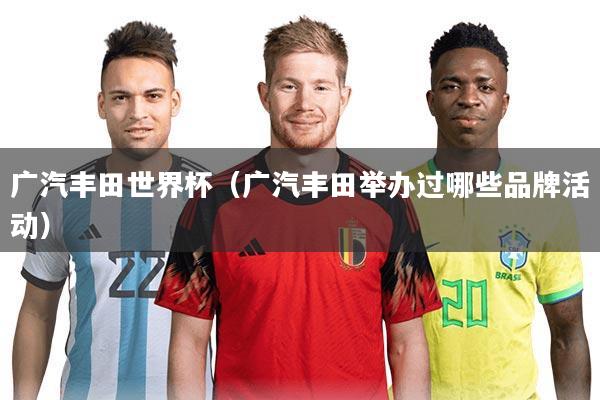 广汽丰田世界杯(广汽丰田举办过哪些品牌活动)