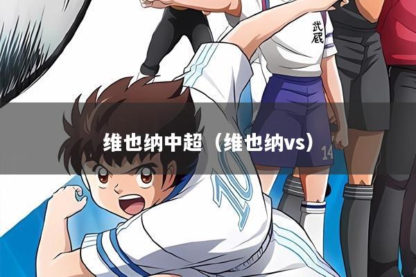 维也纳中超（维也纳vs）