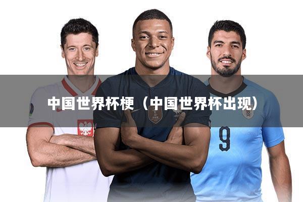 中国世界杯梗（中国世界杯出现）
