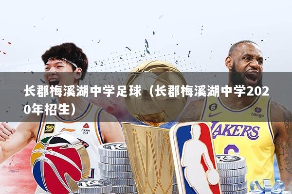 长郡梅溪湖中学足球（长郡梅溪湖中学2020年招生）