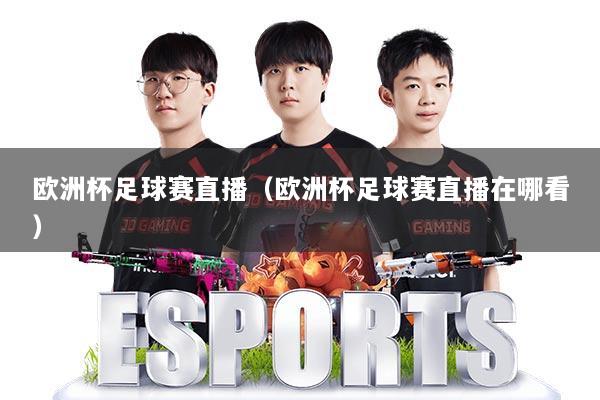 欧洲杯足球赛直播(欧洲杯足球赛直播在哪看)