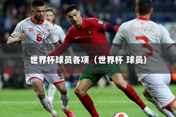 世界杯球员各项（世界杯 球员）