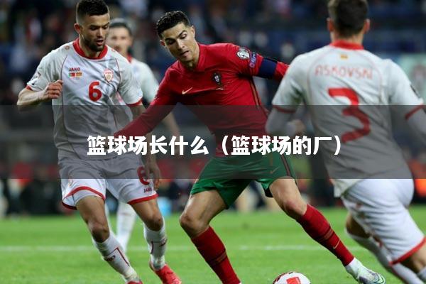 篮球场长什么（篮球场的厂）