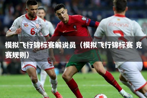 模拟飞行锦标赛解说员（模拟飞行锦标赛 竞赛规则）