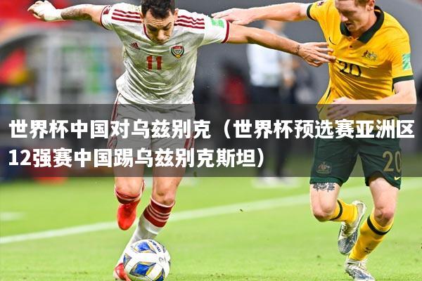 世界杯中国对乌兹别克（世界杯预选赛亚洲区12强赛中国踢乌兹别克斯坦）