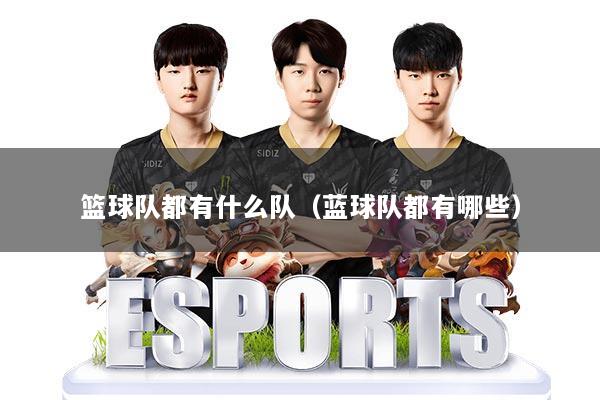 篮球队都有什么队（蓝球队都有哪些）