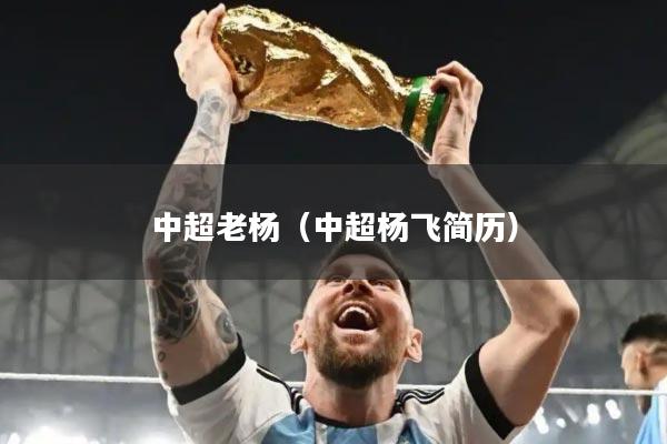 中超老杨(中超杨飞简历)