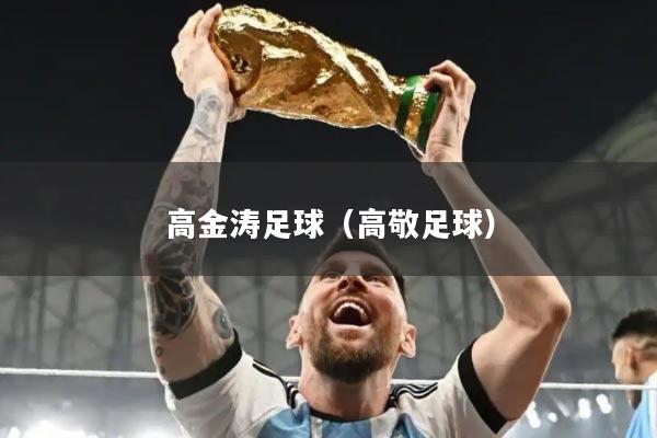 高金涛足球(高敬足球)