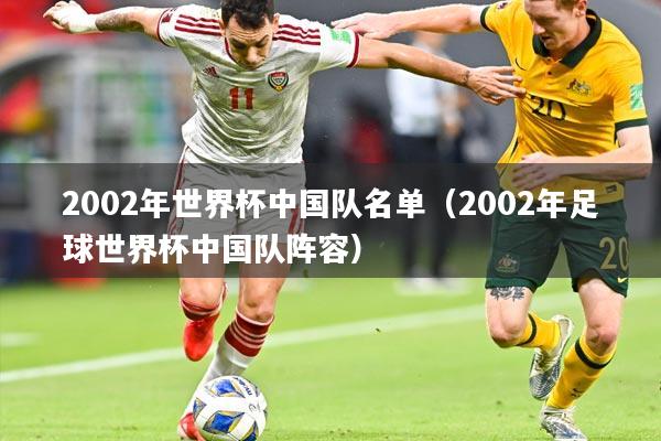 2002年世界杯中国队名单(2002年足球世界杯中国队阵容)