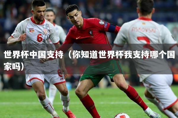 世界杯中国支持（你知道世界杯我支持哪个国家吗）