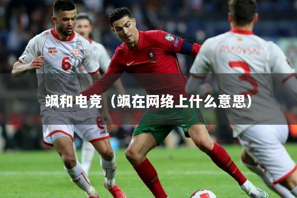 飒和电竞（飒在网络上什么意思）