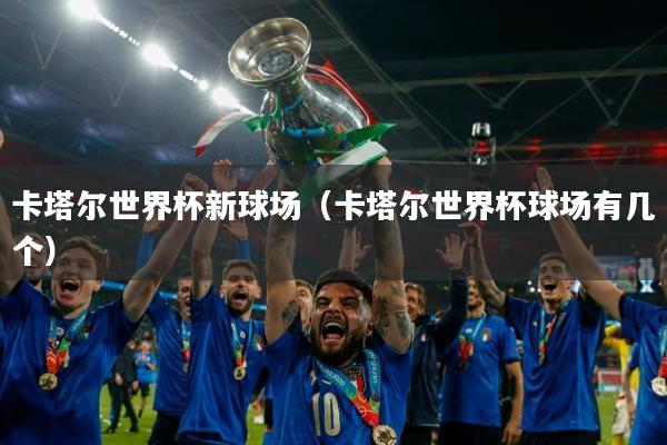 卡塔尔世界杯新球场（卡塔尔世界杯球场有几个）